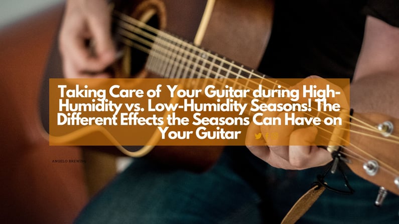 Taking Care of Your Guitar during High-Humidity vs. Low-Humidity Seasons! The Different Effects the Seasons Can Have on Your Guitar